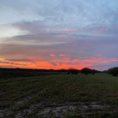 duffcars's profile picture. retired car guy, one pocket player, golf attempter, crappy rancher