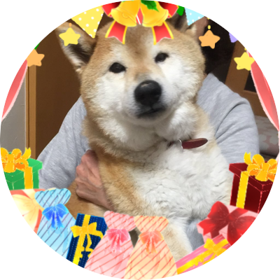 はっち か 帰れない おじいちゃん犬 柴犬 カバンの上 で 寝ちゃった はっち か 帰れない おじいちゃん犬 柴犬 カバンの上 で 寝ちゃった