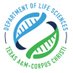 Dept. of Life Sciences TAMU-CC (@lscitamucc) Twitter profile photo Dept. of Life Sciences TAMU-CC (@lscitamucc) Twitter profile photo