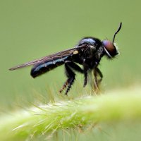 Sivrac (@sivrac1986) 's Twitter Profile