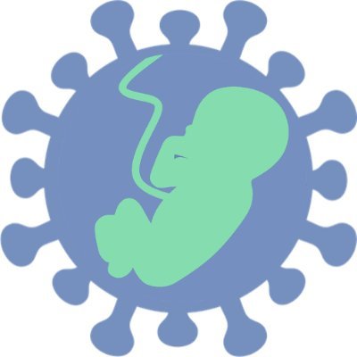 ipopstudy's profile picture. The iPOP Study investigates the impact of pandemic lockdowns on preterm birth & stillbirth, assessing underlying causative factors globally. Paper coming soon!