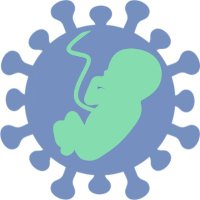 iPOP Study (@ipopstudy) 's Twitter Profile
