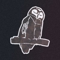 Strigid Development (@strigiddev) 's Twitter Profile