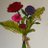 samantha_hepler's profile image