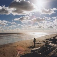 Michael Flint (@michaelfromuk2) 's Twitter Profile