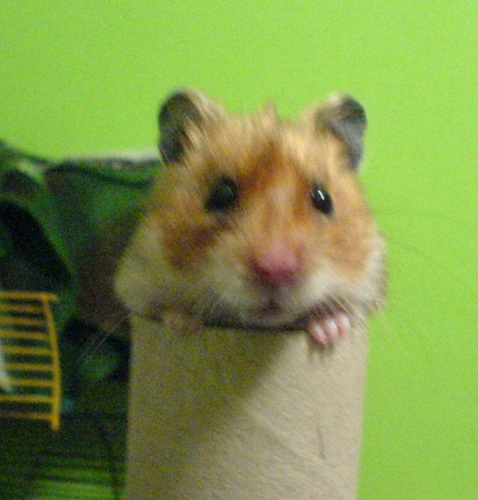 kwitee's profile picture. Nadšený filmový a seriálový fanoušek.