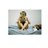 ajrqhtmsla's profile image