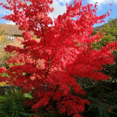 Speech and Language Therapist, passionate about improving outcomes for the autistic community; learning from #actuallyautistic voices. Views my own.