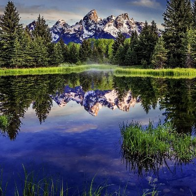 @Marcus19581
