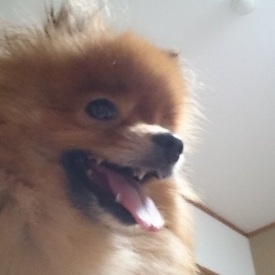 来ないでさんのプロフィール画像