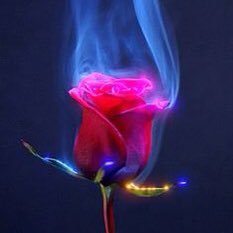 k3_251's profile picture. 