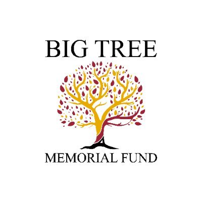 We are dedicated to honoring the legacy of Erik Knapp through advocating strength and providing assistance for families impacted by cancer. #bigtreememorialfund