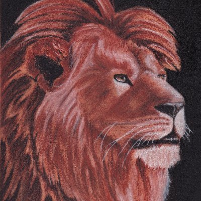 SamHnatiwArt's profile picture. Wildlife Artist from Leduc, AB
Gaming Enthusiast
Lover of all things