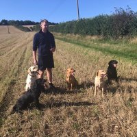 Andrew Hodges (@arhodges90) 's Twitter Profile Photo Andrew Hodges (@arhodges90) 's Twitter Profile Photo