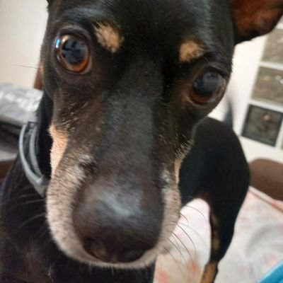 cabaset's profile picture. 