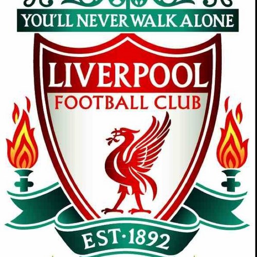 mrobo82's profile picture. LFC supporter and piss poor DIY'ER, lover of bookies money. Horses and footy fan