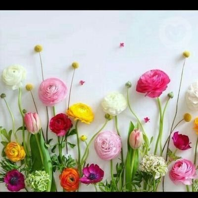 Mustafakarakedi's profile picture. Slm .170 77 39  bakımlı biriyim benim için insanlık gizlilik  önce gelir.yer yok.ap yim ama rol fark etmez .memnun  kalırsın.bende memnun olmak istiyorum.