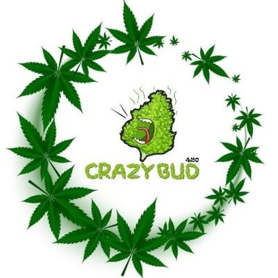 Salve famíliaaa!! Estamos agora aqui no tt também em!!💨
Conteúdo cannabico, muito pala e risada!🤣😎
Nos siga no Instagram também: @crazybud.420
FOGO NO VERDE