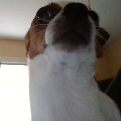 andrew07177988's profile picture. bro they did not have pizza