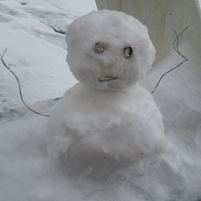 masyunelz's profile picture. 電脳少女シロちゃんが好きです(*^O^*) 
趣味の時間を作りながらまったり生活するのがモットーです。良く鍋やステーキを作ります。人生で有限な回数の食事を楽しんでいきます。
2018 10 30シロちゃんにフォローしてもらえました！