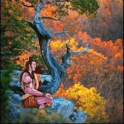 SurendraNagine1's profile picture. 