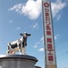 himawari__milk's profile picture. 高知県の乳業メーカー『ひまわり乳業株式会社』です！ 大地にしっかりと根を張り、太陽に向かって真っ直ぐ伸び、 大輪の花を咲かせるひまわり🌻 誰もが健康で伸びやかに成長していきたいと願うように、 ひまわり乳業も『自然』を愛し、 人々の『健康』を願いながら、 『地域』に根ざした企業として 成長していきたいと思っています。
