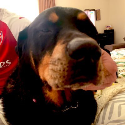 fif010162's profile picture. 