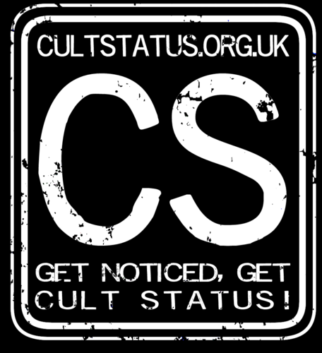 I am owner of Cult Status, a Kent based music academy. We work with schools and private individuals to make music fun for everyone in the community.