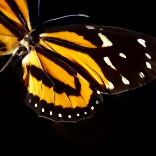 OrgLeadership's profile picture. For the study and practice of Organizational Leadership