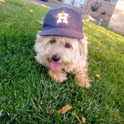 KittyLo62951495's profile picture. la humildad