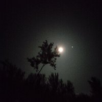 Aalwon Blodoom (@blodoom) 's Twitter Profile