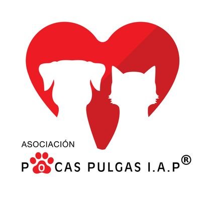 Institución  de Asistencia Privada. 
campañas de esterilización, adopciones, bienestar animal y salud pública.