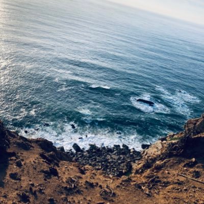 lovatosbunny's profile picture. i'm not superstitious, but i am a little stitious