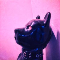 犬山猫之介 (@neko_inuyama) 's Twitter Profile