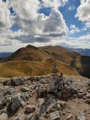 Catheri72582920's profile picture. 