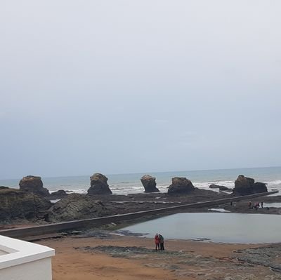 billette_rie's profile picture. #perdir, éducation prioritaire #rep+