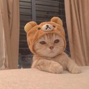 Nhi Luu - @nhieluu - Twitter