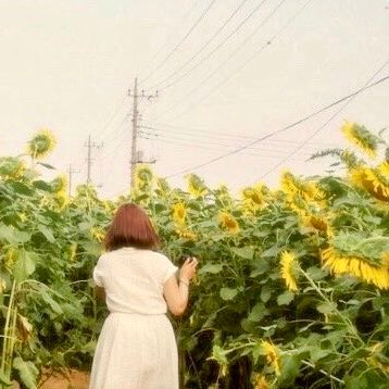 harapekko_eng's profile picture. 📍データサイエンティストになりたいアラサー💁‍♀️必死のジョブチェン🔥...なんて思っていた時期もありました...。自分は何がしたいのかわからなくなったアラサーです🥺2021年4月に外資メーカーを退職しゴリゴリの無職してます！よろしくお願いします！