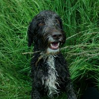 John King (@johnking) 's Twitter Profile