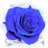 blue_snow4