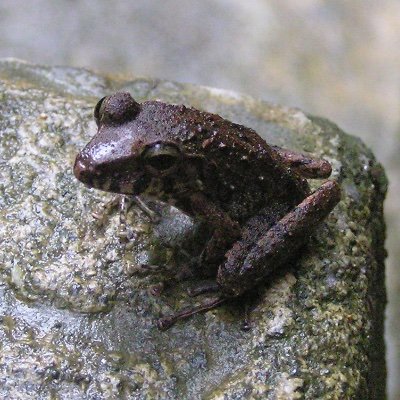 CLeniata's profile picture. Ami des larmes et des anges, je cherche la Combinaison Finale.
La coque de l'Homme appartient au monde.
L'essence de l'Homme est vide.
Le reste est illusion.