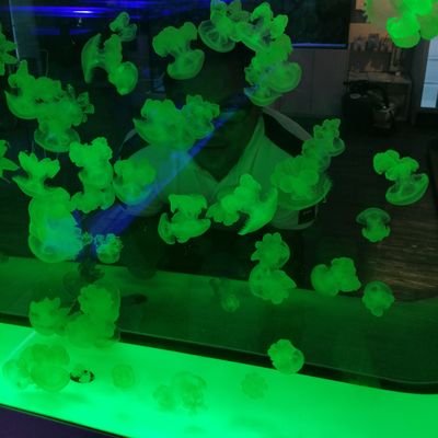 McEnrico19's profile picture. 