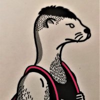 another otter(@anotherOtter_) 's Twitter Profile Photo