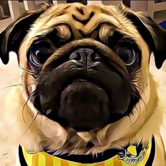 35, Strategy/ Sim Streamer and Pug wrangler. Contact me at thraxargames@gmail.com #teamtoska