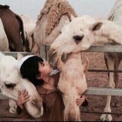 - حُسن الظن ، أناقة الفكر