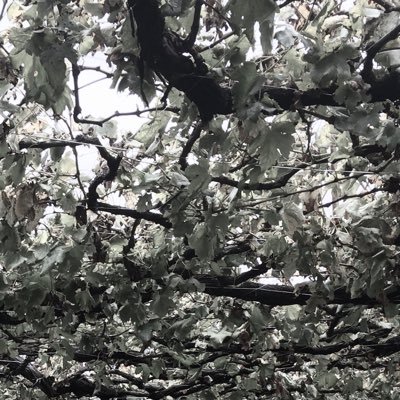 Maitake على تويتر ごうちんと豊永さん 2人で1曲作って欲しい今日この頃 あのごうちんがバラードとか作ったら絶対泣ける歌になる B Project 金城剛士 豊永利行 Maitake على تويتر ごうちんと豊永さん 2人で1曲作って欲しい今日この頃 あのごうちんがバラードとか作ったら絶対泣ける歌になる B Project 金城剛士 豊永利行