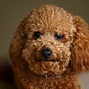 Arnan John Tomas - @jhohnontwitt - Twitter