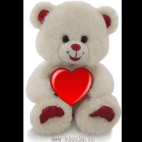 Nelson Bustos (@nelsonb36110167) 's Twitter Profile