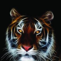 kaplan (@kaplann99) Twitter profile photo