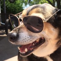 SimpleButComplicated (@cubsandcyclones) 's Twitter Profile
